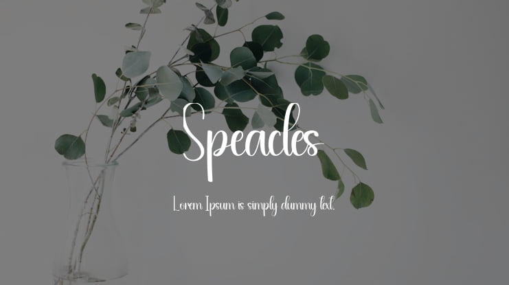 Speacles Font
