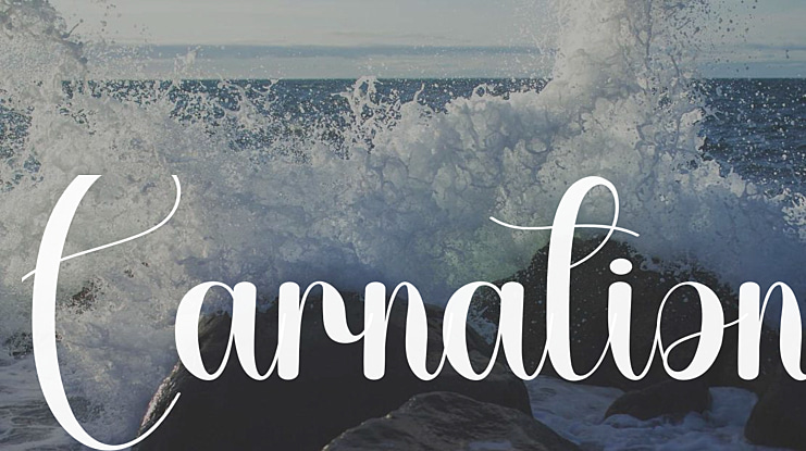 Carnation Font
