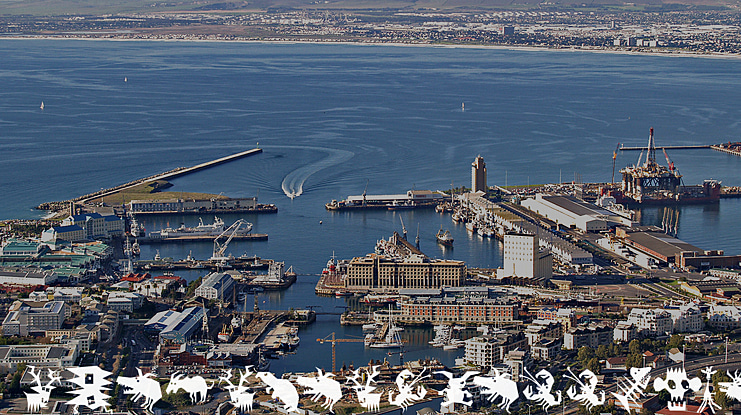 Animalia Scissored Font