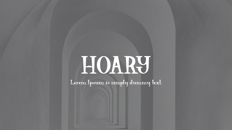 HOARY Font