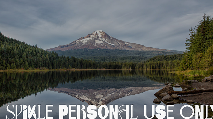 Spikle Personal Use Only Font