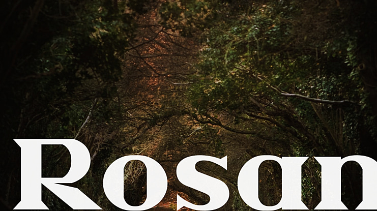 Rosan Font