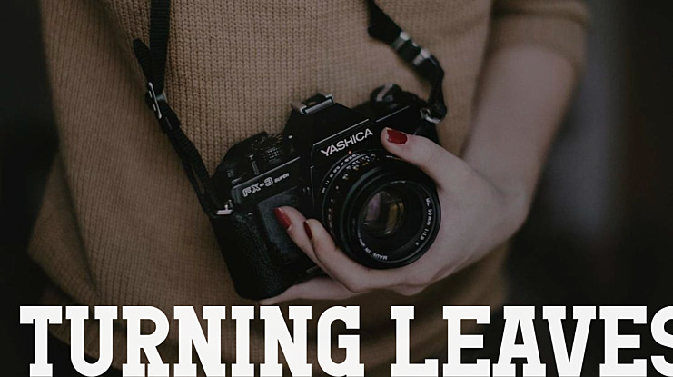 TURNING LEAVES Font