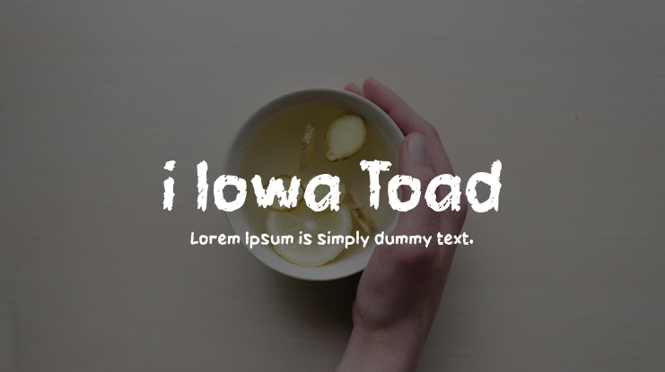 i Iowa Toad Font