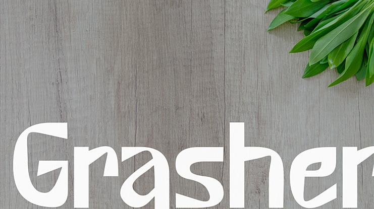 Grasher Font