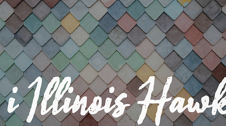 i Illinois Hawk Font