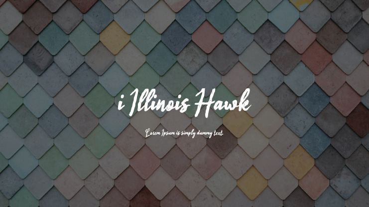 i Illinois Hawk Font