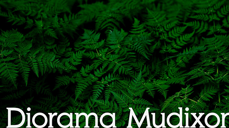 Diorama Mudixon Font