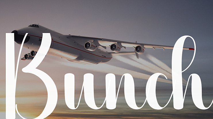 Bunch Font