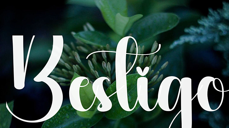 Bestigo Font