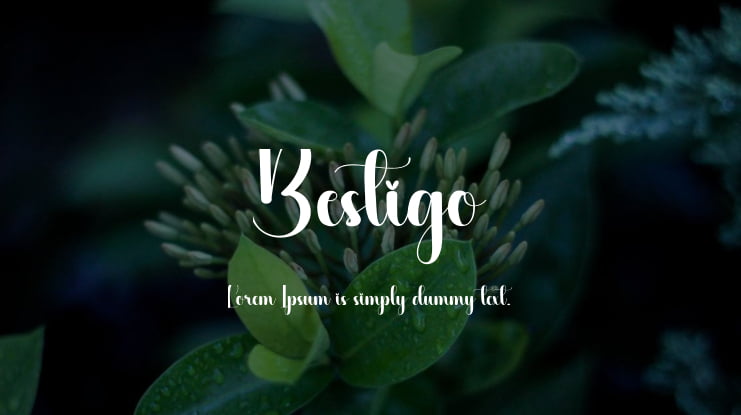 Bestigo Font