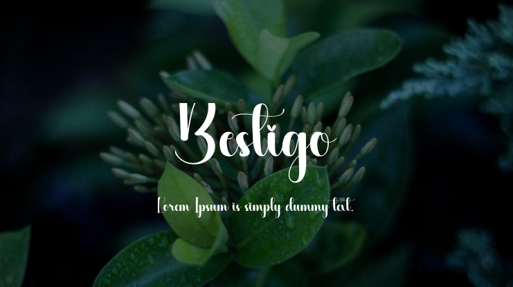 Bestigo Font