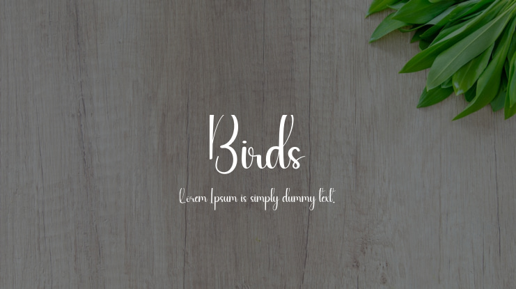 Birds Font
