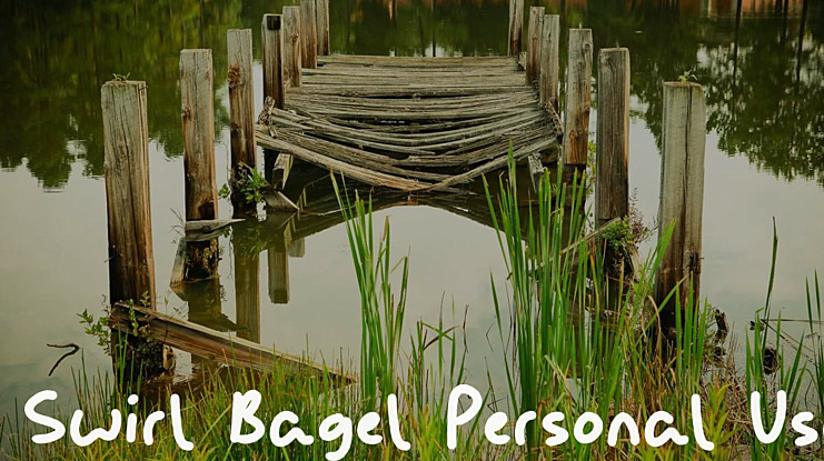Swirl Bagel Personal Use Font