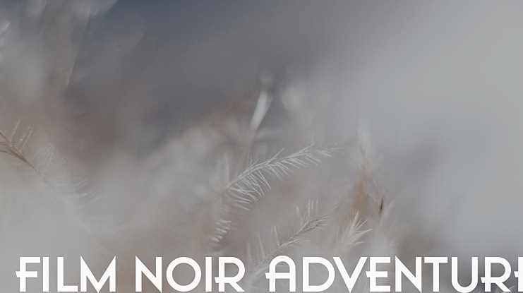 Film Noir Adventure Font Family