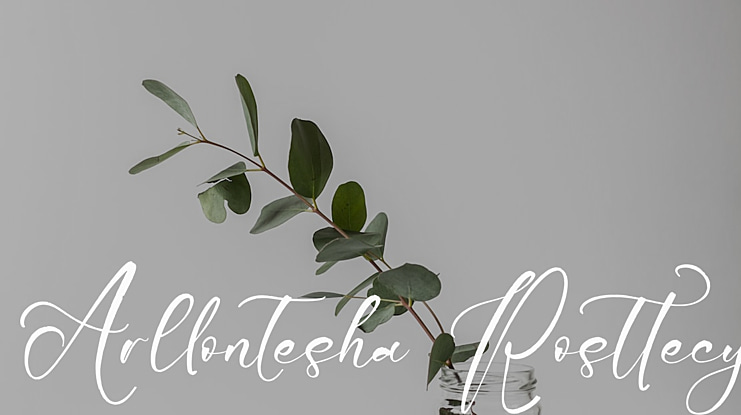 Arllontesha Rosttecy Font