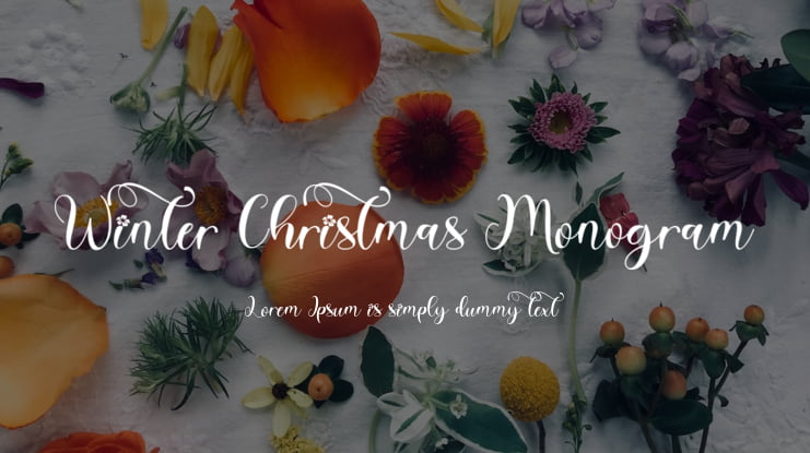 Winter Christmas Monogram Font Family