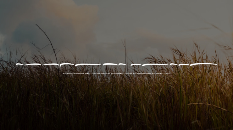 Amelona Swash Font Family