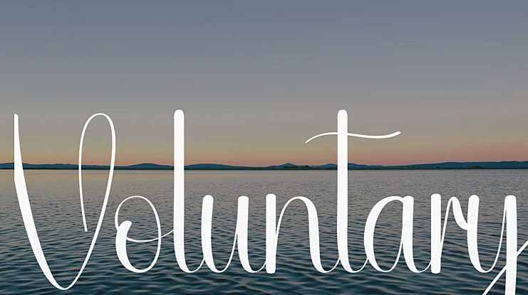 Voluntary Font