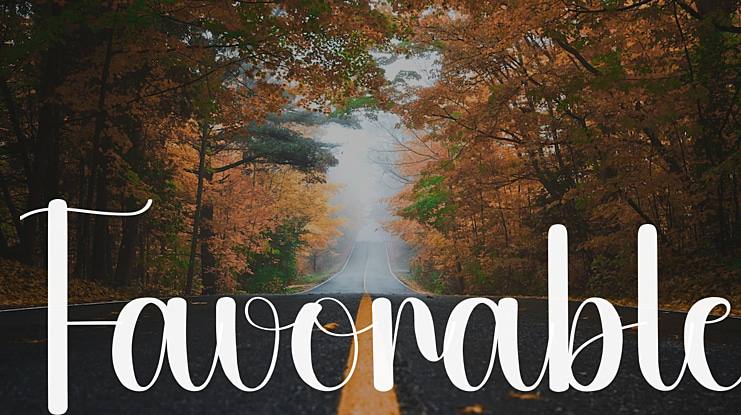 Favorable Font