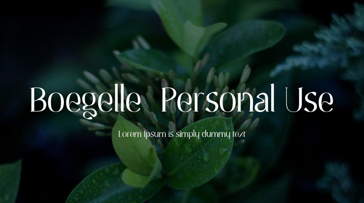 Boegelle_Personal Use Font