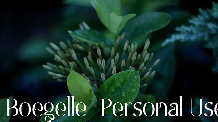 Boegelle_Personal Use Font