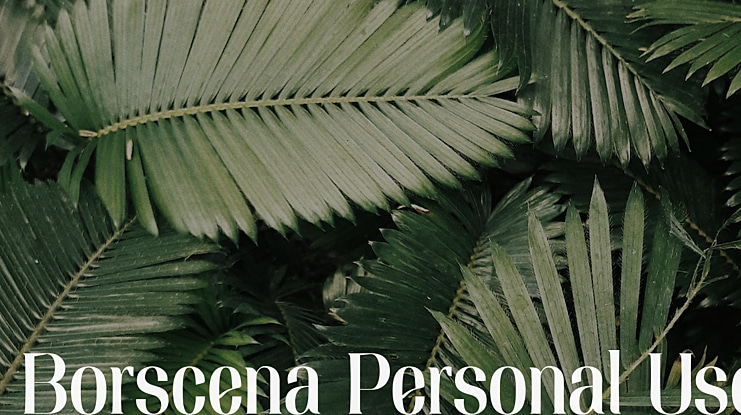 Borscena Personal Use Font