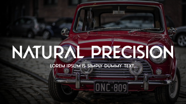 Natural Precision Font Family