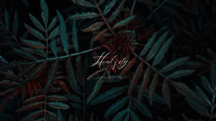 Holsity Font