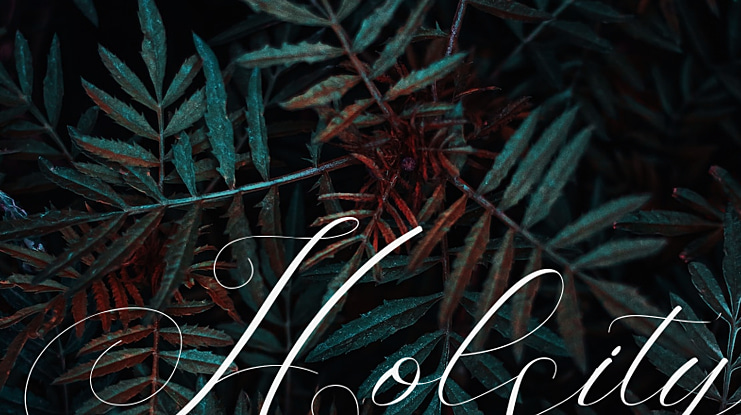 Holsity Font