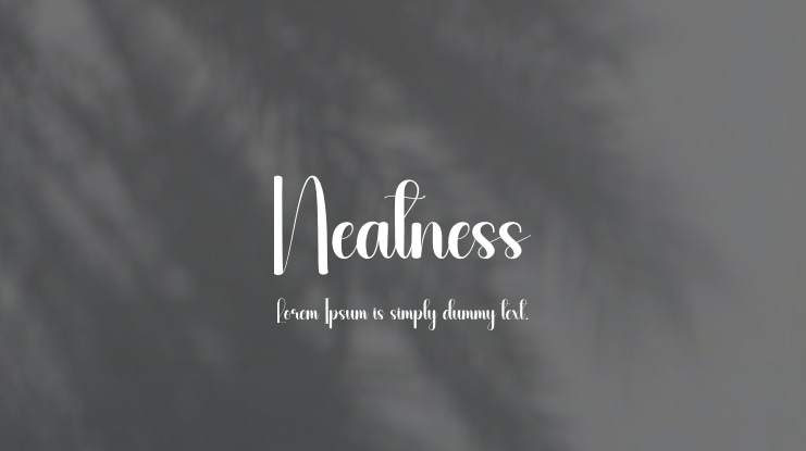 Neatness Font