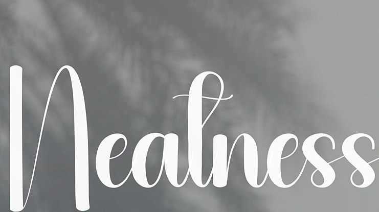 Neatness Font