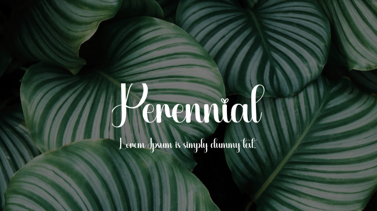 Perennial Font