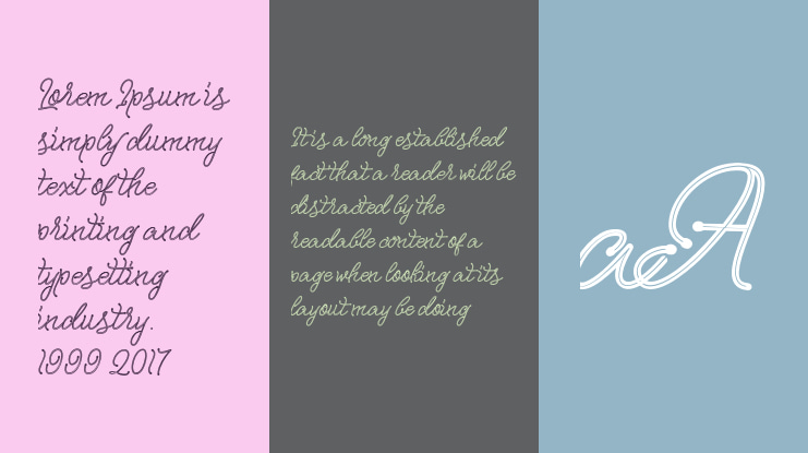 Integer Script Font Family