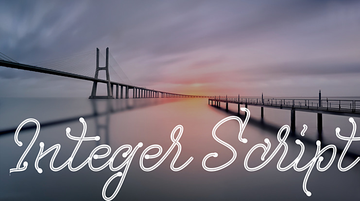Integer Script Font Family
