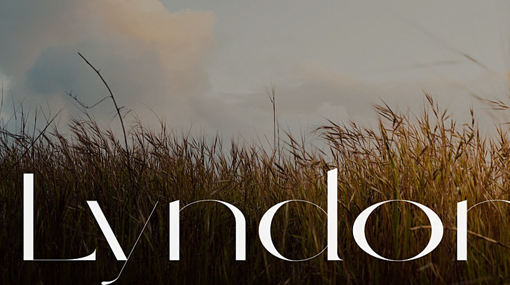 Lyndon Font