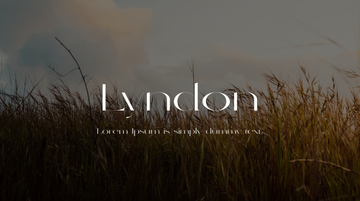 Lyndon Font