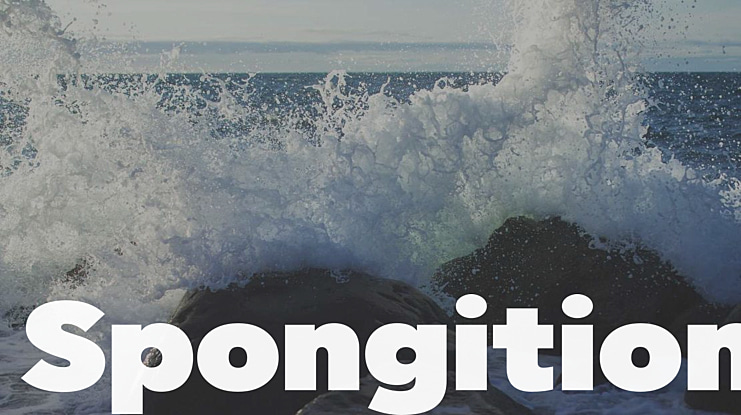 Spongition Font Family