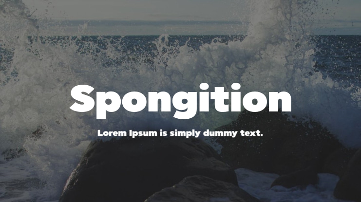 Spongition Font Family