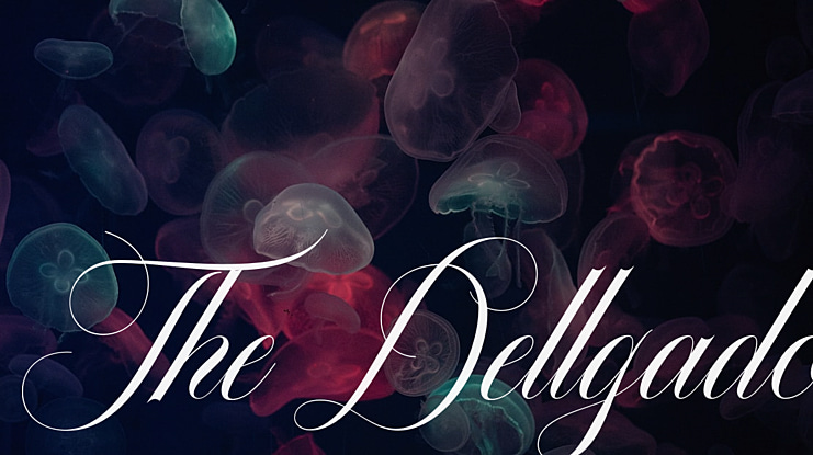 The Dellgado Font