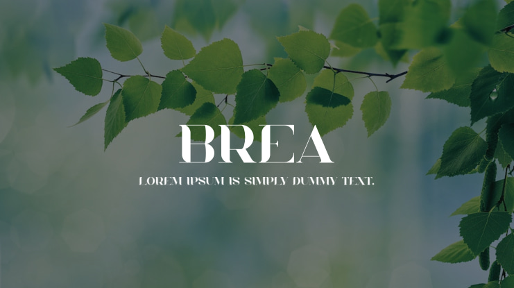 Brea Font