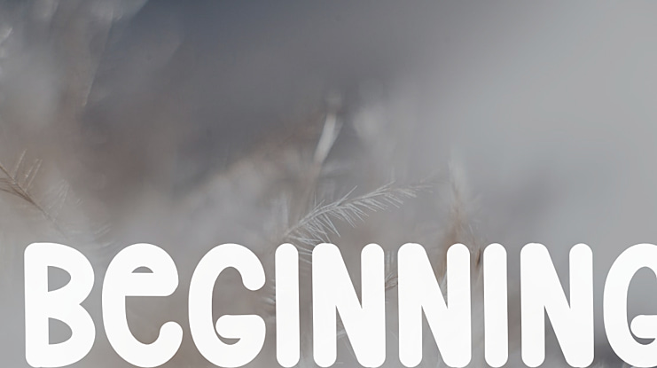 Beginning Font