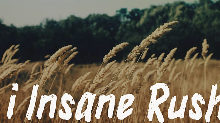 i Insane Rush Font
