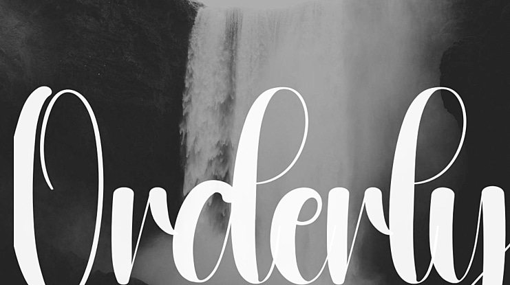 Orderly Font