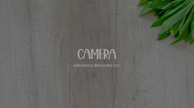 Camera Font