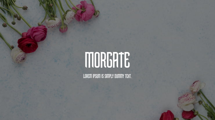 Morgate Font