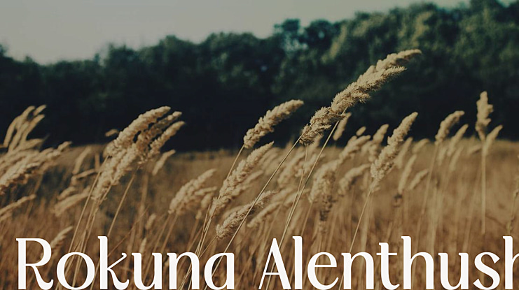 Rokuna Alenthush Font Family