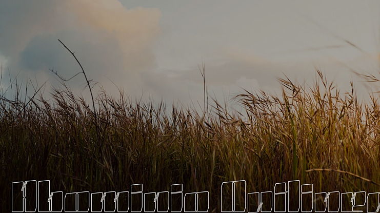 Abominio Outlined Font Family