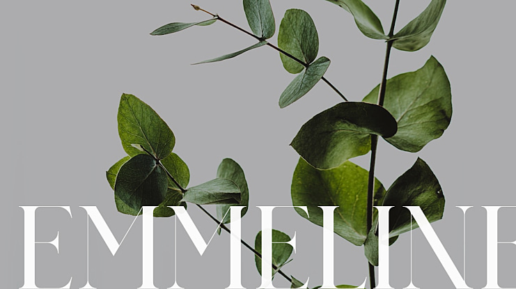 EMMELINE Font