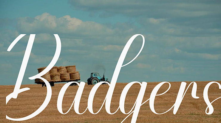 Badgers Font
